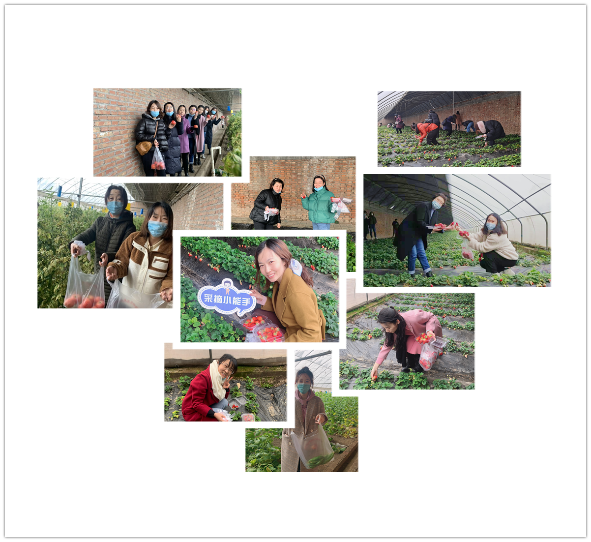 �ǿ��ۺ������������