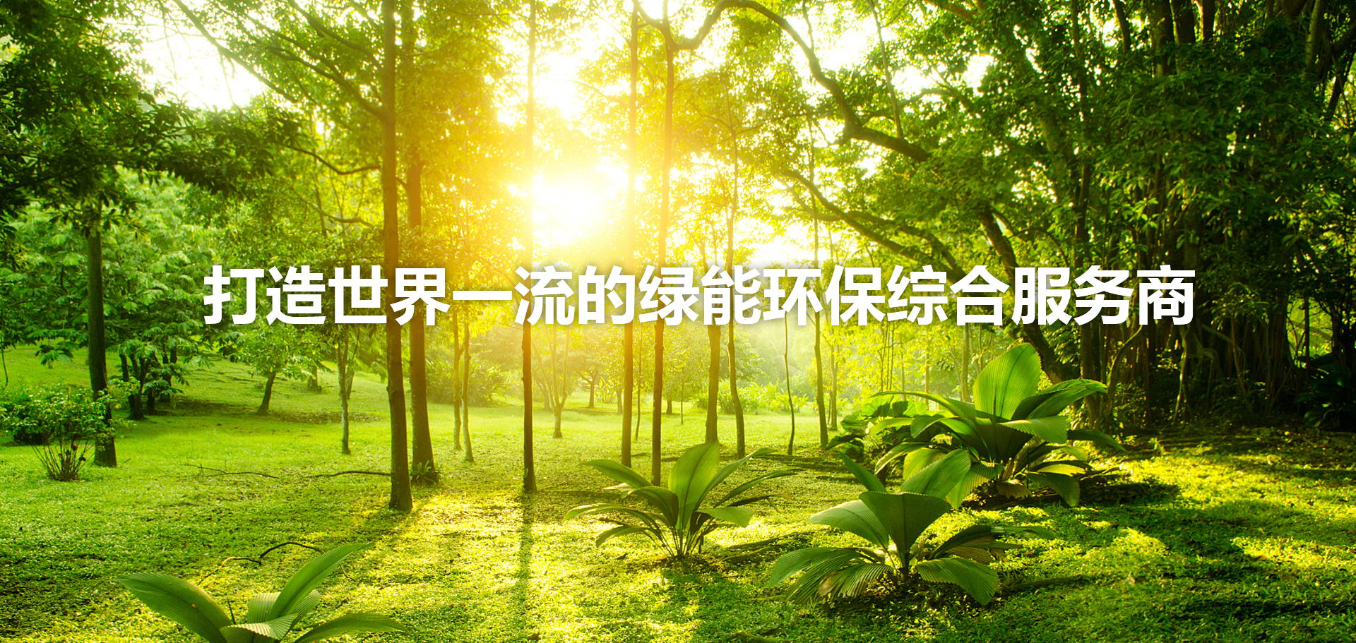 星空综合体育官网入口